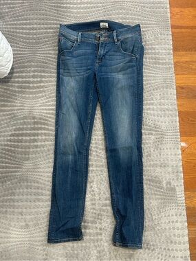 Hudson Jeans Women’s Medium Wash Skinny Jeans